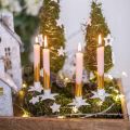 Floristik24 Baumkerzenhalter, Weihnachten, Stern zum Stecken, Kerzendeko aus Metall Weiß Shabby Chic Ø5cm