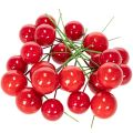 Künstliche rote Beeren aus Kunststoff mit Draht 2 cm 48 Stück für floristische Weihnachtsdekoration | Floristik24.at