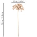 Künstlicher Beerenzweig aus Kunststoff Champagnerfarben 28 cm 3 Stück | Floristik24.at