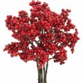 Floristik24 Deko Zweig mit roten Beeren Beerenzweig Herbstdeko 26cm 6St