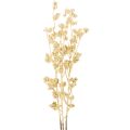 Floristik24 Beerenzweig künstlich Gold 70 cm 3er Set für Dekorationen