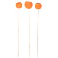Bell Cup Mix auf Holzstab Orange Ø 3–5,5 cm, 15 Stück | Floristik24.at
