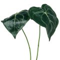 Floristik24 Blatt Caladium 32cm 2St