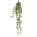 Floristik24 Hängende Grünpflanze künstlich Blatthänger 5 Stränge 58cm