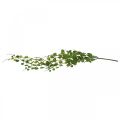 Floristik24 Hängende Grünpflanze künstlich Blatthänger 5 Stränge 58cm