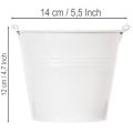 Blecheimer Weiß aus Stahlblech Ø14 cm H12 cm, Set aus 6 Stück | Floristik24.at