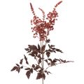 Floristik24 Künstliche Astilbe 80cm Rotbraun Kunststoff für Innenbereich
