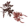 Künstliche Astilbe 80cm