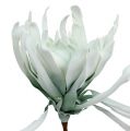 Floristik24 Blütenzweig Foam Weiß, Grün 72cm