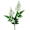Floristik24 Blütenzweig Weiß 78cm 3St
