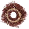 Blumenkranz Trockenblumen Kranz Weinrot Rosa Ø25cm | Floristik24.at