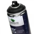 Floristik24 OASIS® Easy Colour Spray, Lack-Spray Schwarz 400ml