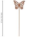 Blumenstecker Metall Schmetterling Rostoptik 10×7cm 3er Set | Floristik24.at