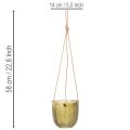 Hängedeko Blumentopf aus Glas, Lila und Grün, Ø14cm, 2 Stück | Floristik24.at