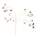 Floristik24 Bohnenblütenzweig aus Kunststoff Metallic Champagner 80cm 3er-Set