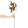 Künstliche Buntnessel mit roten und grünen Blättern, 20 cm, für Innenräume | Floristik24.at