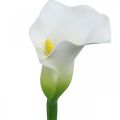 Floristik24 Künstliche Calla Weiß, Hochzeitsdeko, Seidenblume, Gedenktage L72cm