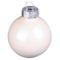 Christbaumkugeln Glas Baumkugeln Berry Mix Ø5cm 24 St Berry Rosa Beige creme glänzend | Floristik24.at