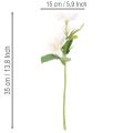 Kunstblume Christrose Bund 35cm Weiß-Rosa 6 Stück Innenbereich | Floristik24.at