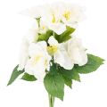 Floristik24 Künstliche Christrose Weiß Bund 36 cm Weihnachtsdekoration Innenbereich