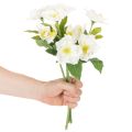 Künstliche Christrose Weiß Bund 36 cm Weihnachtsdekoration Innenbereich | Floristik24.at