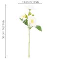 Künstliche Christrose Weiß Bund 36 cm Weihnachtsdekoration Innenbereich | Floristik24.at