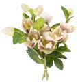 Floristik24 Künstliche Christrose Rosa-Grün 30 cm Bund mit 4 Stielen