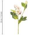 Künstliche Christrose Rosa-Grün 30 cm Bund mit 4 Stielen | Floristik24.at