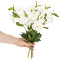 Christrose künstliche Blumen weiß, 40 cm, 4 Stück Bund, Dekoration | Floristik24.at