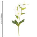 Christrose künstliche Blumen weiß, 40 cm, 4 Stück Bund, Dekoration | Floristik24.at