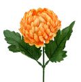 Floristik24 Chrysantheme Orange Ø7cm L18cm 1St