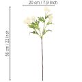 Künstlicher Chrysanthemen-Bund, Kunststoff, cremeweiß, 56 cm, 4 Stück | Floristik24.at