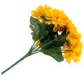 Floristik24 Chrysantheme Gelb mit 7 Blüten