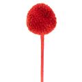 Trockenblumen Craspedia Rot 55cm 20 Stiele für Wohn- und Tischdekoration | Floristik24.at