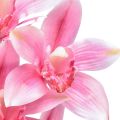 Floristik24 Cymbidium Orchidee künstlich 5 Blüten Rosa 65cm