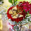 Floristik24 Feder Schmetterling mit Clip Golden Frühlingsdeko 6cm 10St im Set