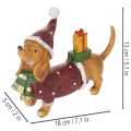 Dekofigur Dackel aus Polyresin 18 cm mit Geschenkpaket und Weihnachtsmütze | Floristik24.at