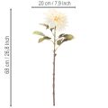 Künstliche Dahlie 68 cm aus Seidenstoff in Cremeweiß | Floristik24.at