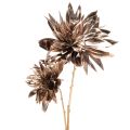 Floristik24 Künstliche Dahlie mit zwei Blüten, 75 cm, Metallic Champagner
