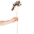 Künstliche Dahlie mit zwei Blüten, 75 cm, Metallic Champagner | Floristik24.at