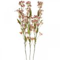 Floristik24 Dekozweig mit Blüten künstlich Rosa Daphne Zweig 110cm 3St