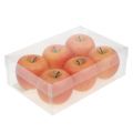 Floristik24 Deko-Äpfel Cox Orange 7cm 6St