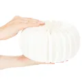 Wabenpapier Kürbis rund 24 cm weiß für Trockenblumen und Herbstdekoration 4 Stück | Floristik24.at
