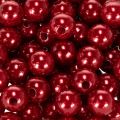 Deko-Perlen Kunststoff Rot Ø10mm 115 Stück | Floristik24.at