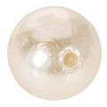 Deko-Perlen Kunststoff Ø2cm Champagner 12 Stück | Floristik24.at
