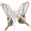Floristik24 Deko-Schmetterlinge Weiß, Braun Federschmetterling am Draht 7,5cm 6St