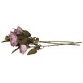 Floristik24 Deko Rosen Blumenstrauß Kunstblumen Rosenstrauß Violett 45cm 3St