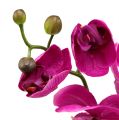 Floristik24 Deko Orchidee Pink L77cm