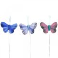 Floristik24 Deko-Schmetterlinge Federschmetterling Rosa, Blau 6cm 24St