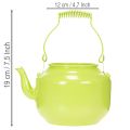 Dekorative Teekanne aus Metall als Blumenvase Ø12 cm Apfelgrün | Floristik24.at